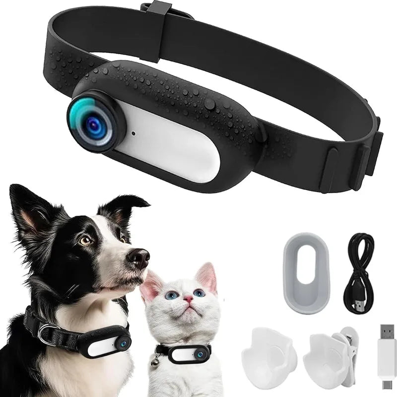 Pet Collar Camera HD 